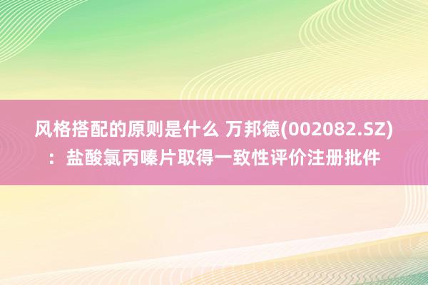 风格搭配的原则是什么 万邦德(002082.SZ)：盐酸氯丙嗪片取得一致性评价注册批件