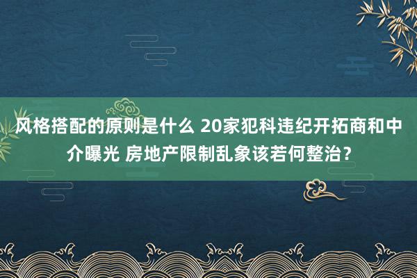 风格搭配的原则是什么 20家犯科违纪开拓商和中介曝光 房地产限制乱象该若何整治？