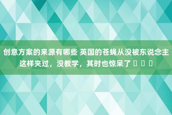 创意方案的来源有哪些 英国的苍蝇从没被东说念主这样夹过，没教学，其时也惊呆了 ​​​