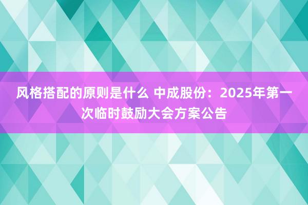 风格搭配的原则是什么 中成股份：2025年第一次临时鼓励大会方案公告