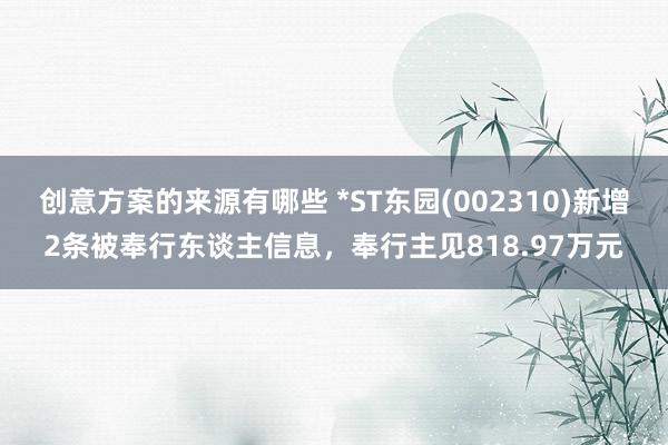 创意方案的来源有哪些 *ST东园(002310)新增2条被奉行东谈主信息，奉行主见818.97万元