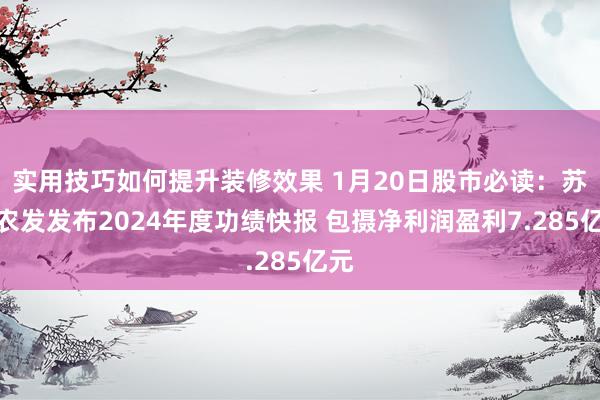 实用技巧如何提升装修效果 1月20日股市必读：苏垦农发发布2024年度功绩快报 包摄净利润盈利7.285亿元