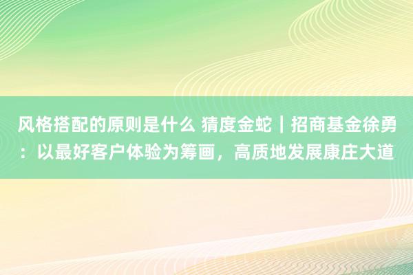 风格搭配的原则是什么 猜度金蛇｜招商基金徐勇：以最好客户体验为筹画，高质地发展康庄大道