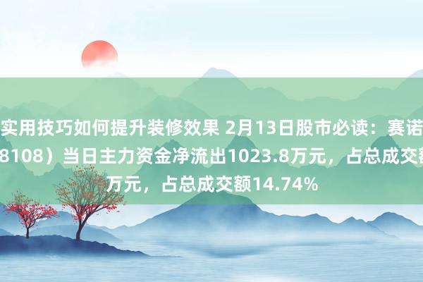 实用技巧如何提升装修效果 2月13日股市必读：赛诺医疗（688108）当日主力资金净流出1023.8万元，占总成交额14.74%