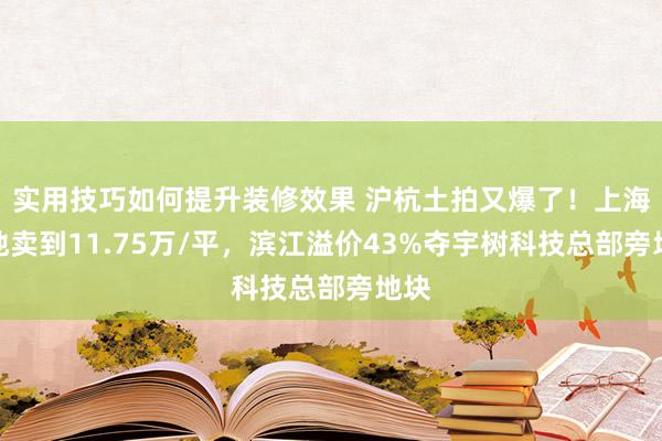 实用技巧如何提升装修效果 沪杭土拍又爆了！上海宅地卖到11.75万/平，滨江溢价43%夺宇树科技总部旁地块