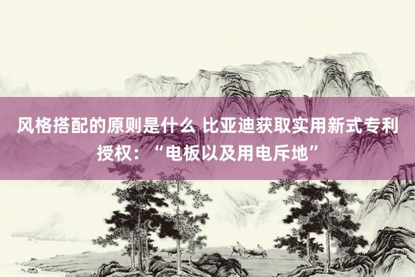 风格搭配的原则是什么 比亚迪获取实用新式专利授权：“电板以及用电斥地”