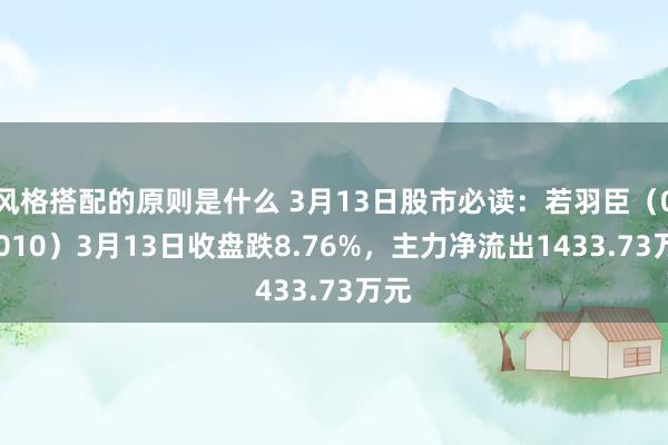 风格搭配的原则是什么 3月13日股市必读：若羽臣（003010）3月13日收盘跌8.76%，主力净流出1433.73万元